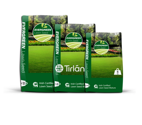 Evergreen No.2 Grass Seed